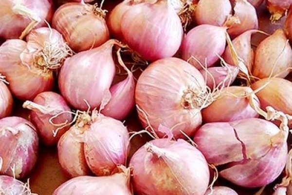Правильная ссылка онион кракен
