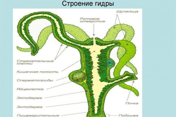 Кракен современный даркнет маркетплейс