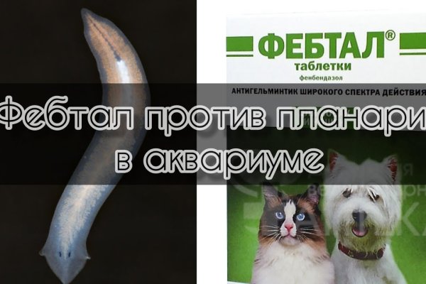 Кракен рабочее зеркало